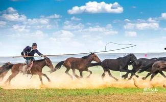 蒙古精神在线观看,在线观看之旅  第2张